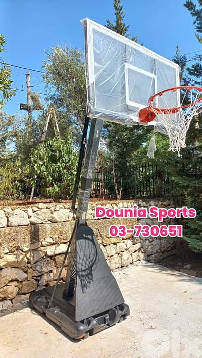 Now 425$ was 580$ movable basketball hoop