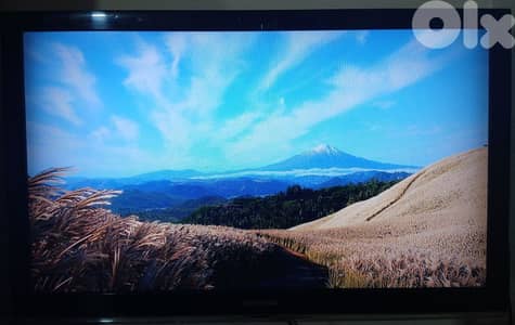 Samsung 43" TV (Not Smart)