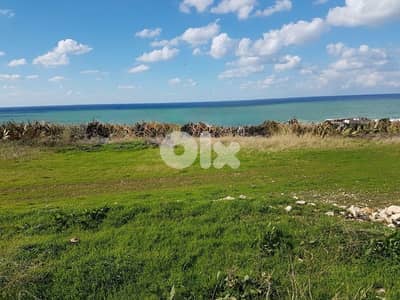 Land For Sale in Bouar Kerserouan أرض للبيع في بوار كسروان