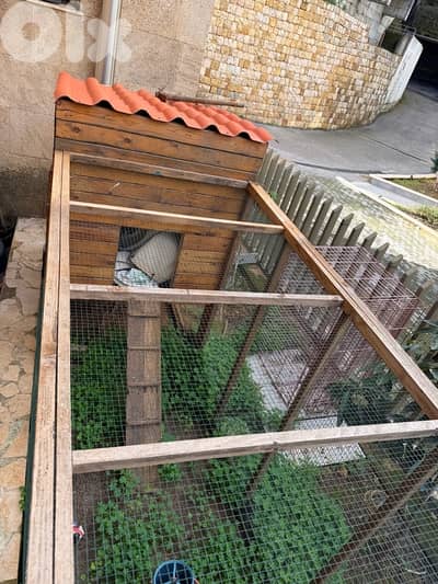 chicken house / coop / hen