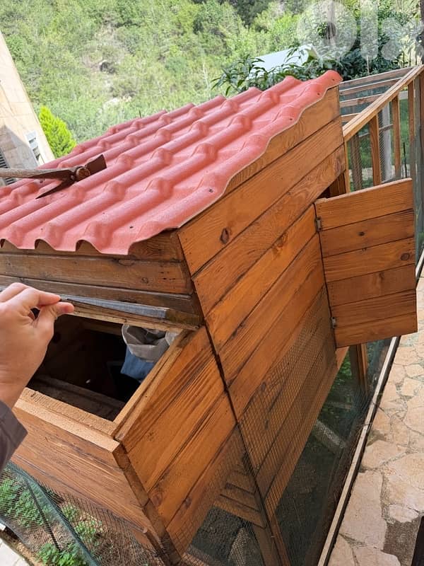 chicken house / coop / hen 1