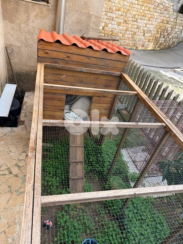 chicken house / coop / hen 3