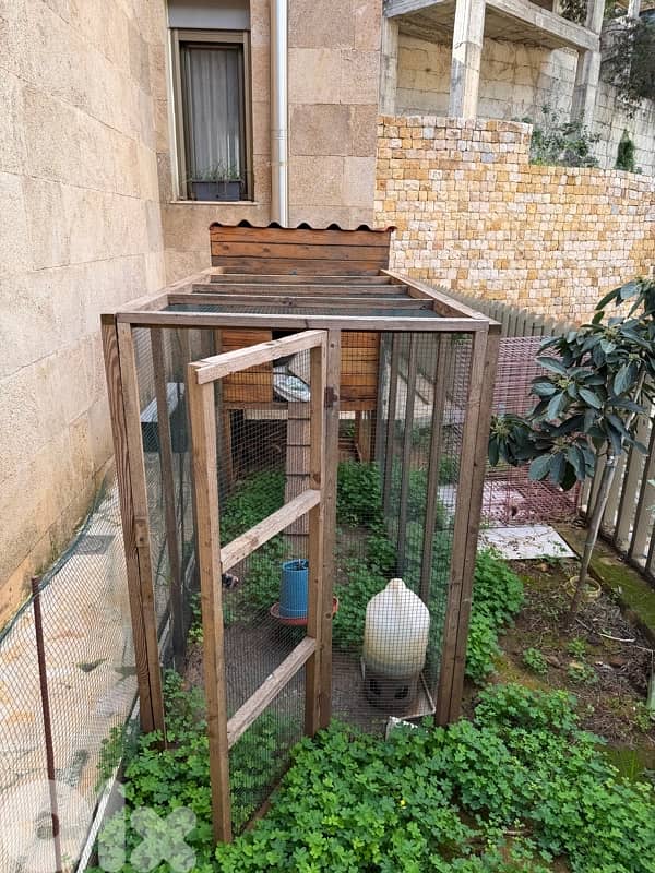 chicken house / coop / hen 5