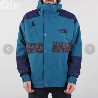 the north face RAGE jacket