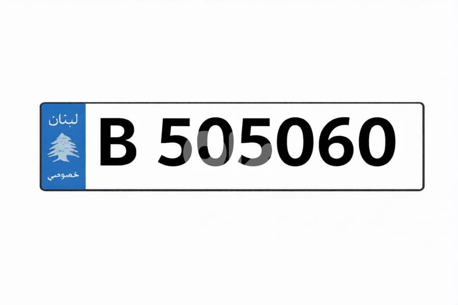 Special 6 Digits Car Plate Number 1