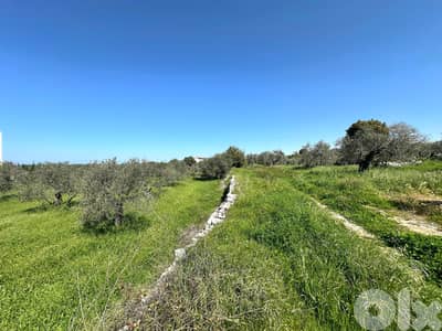 Land for sale in Hamat/ Nice view