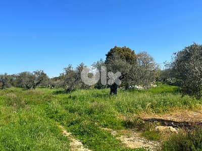 Land for sale in Hamat
