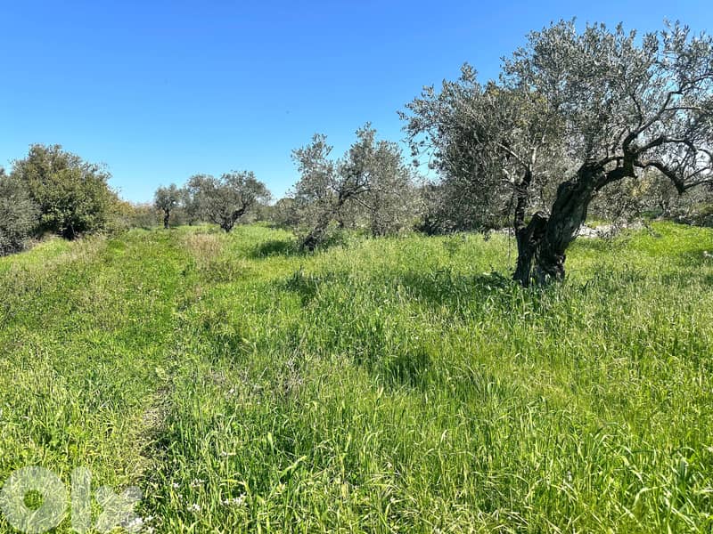 Land for sale in Hamat 1