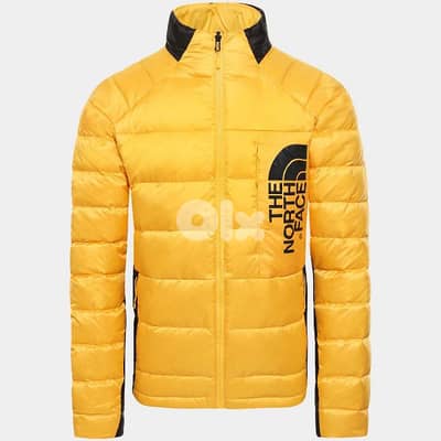 the north face down 550