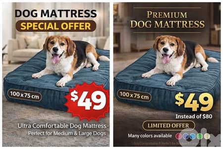 Blankets and Dog mattresses