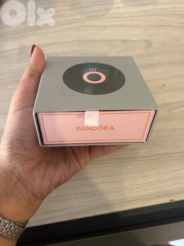Pandora charm bracelet 1