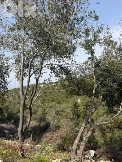 GMB212SA Land for sale in Batroun - أرض للبيع في البترون