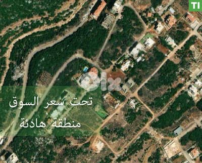 Prime location ,Place of El Nakhle - Koura/ النخلة/الكورة REF#TI133934