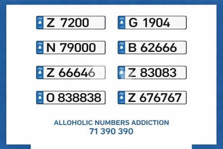 special plate numbers