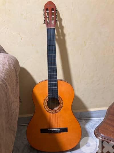 signature acoustic guitar