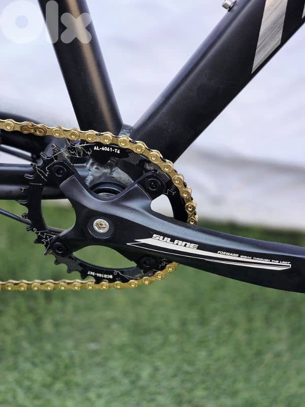 AVYA PRECISION New pro mtb bike 4