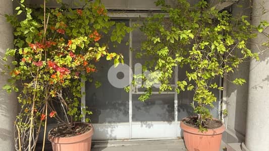 Shop for rent in zouk mikael (kaslik) prime location | MY