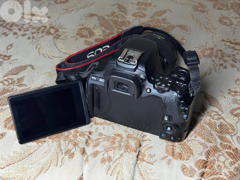 Canon 250D 4