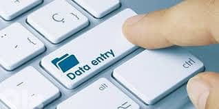 Data Entry & Typist: I work