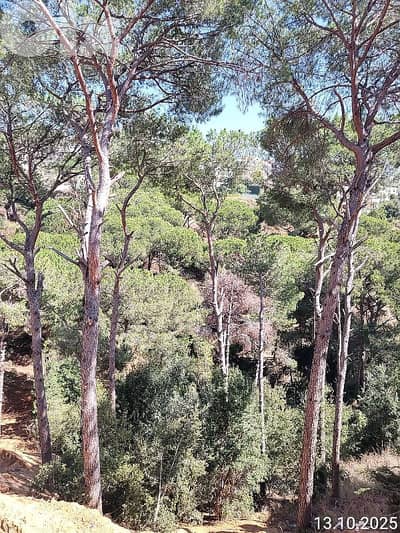 230M +220M garden 3 bedrooms apartment for sale plus garden