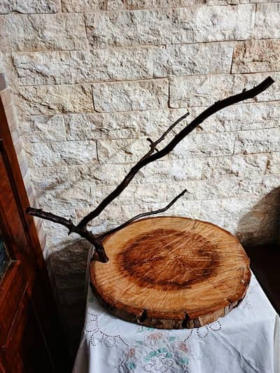 ستاند للطيور خشب ارز