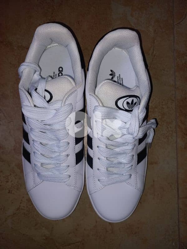 Adidas shoes 1