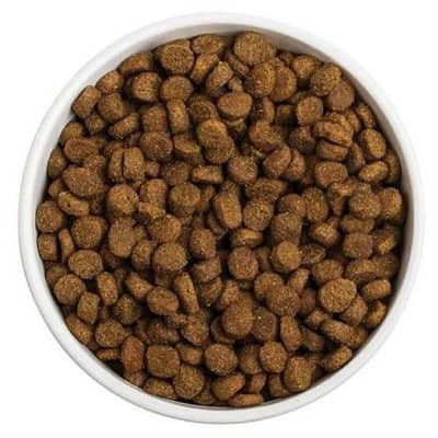 dog food 20kg