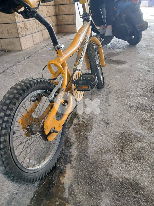 beskelet black horse 20 inch 1