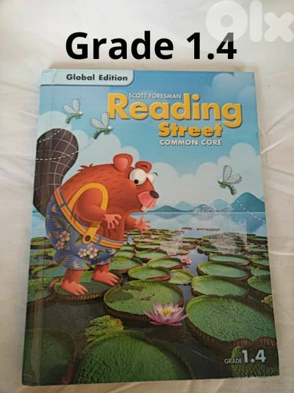 Reading Street (Grade 1 to 3, 8 books) 1