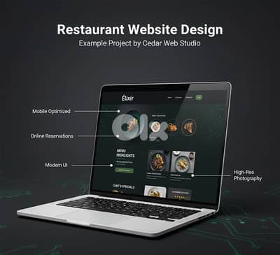 Professional Websites for Every Business Need