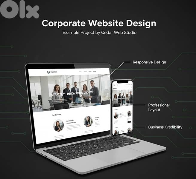 Professional Websites for Every Business Need 1