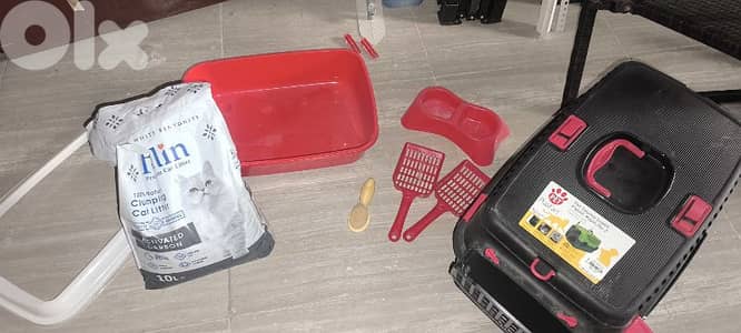Cat starter set