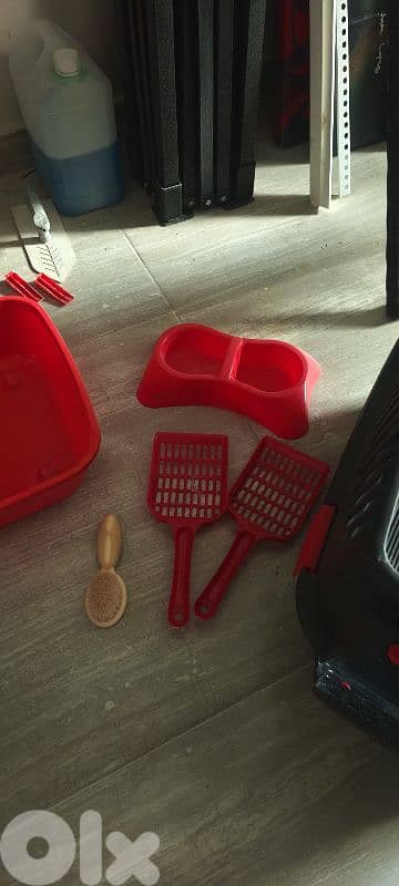Cat starter set 2