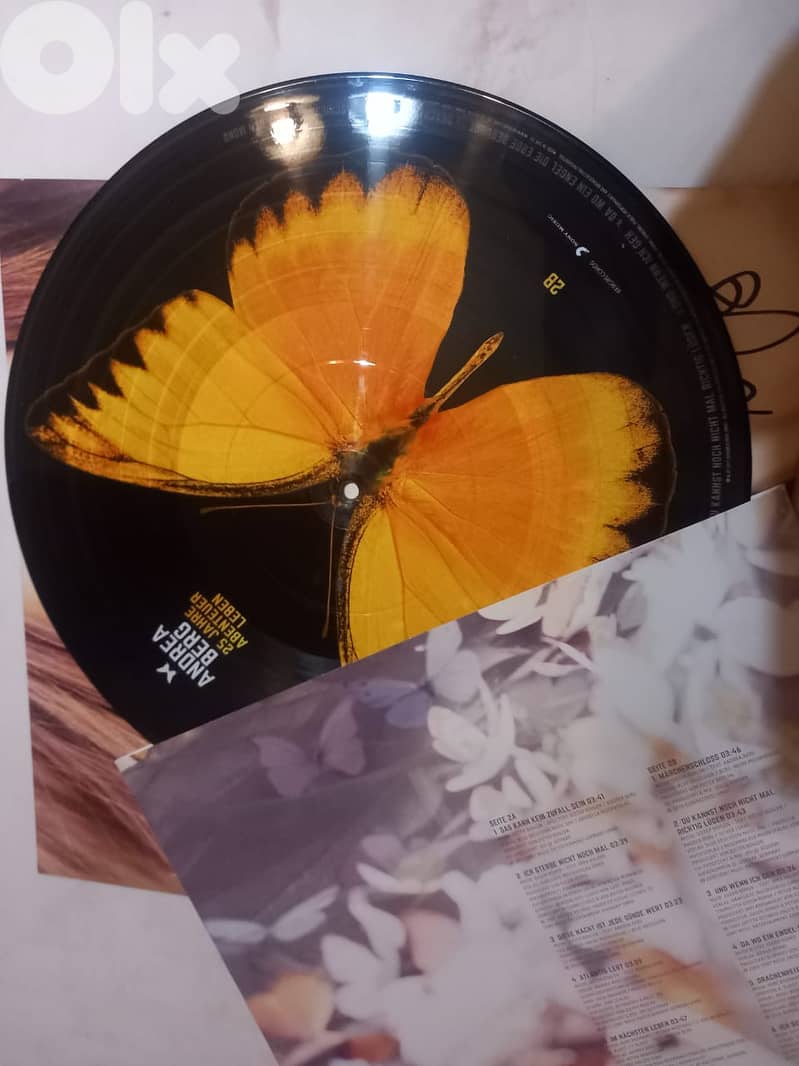 Andrea Berg – 25 Jahre Abenteuer Leben 2 x Vinyl,Picture Disc 3