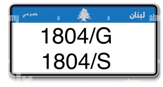 2 identical 4 digit number plate