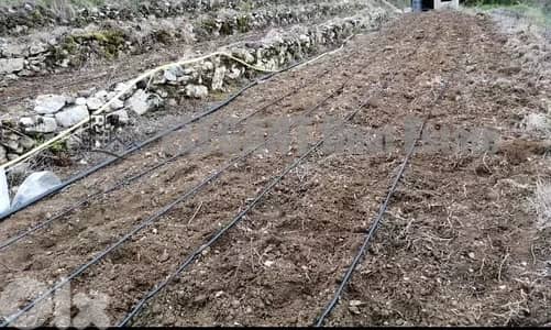 Agricultural Land for sale Naher el Dahab