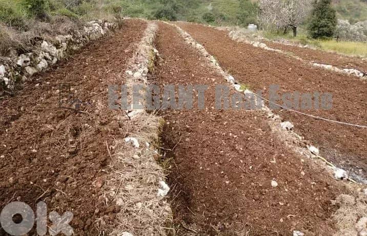 Agricultural Land for sale Naher el Dahab 1