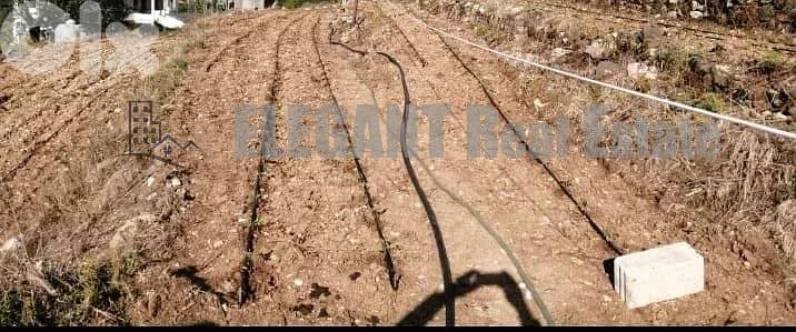 Agricultural Land for sale Naher el Dahab 2