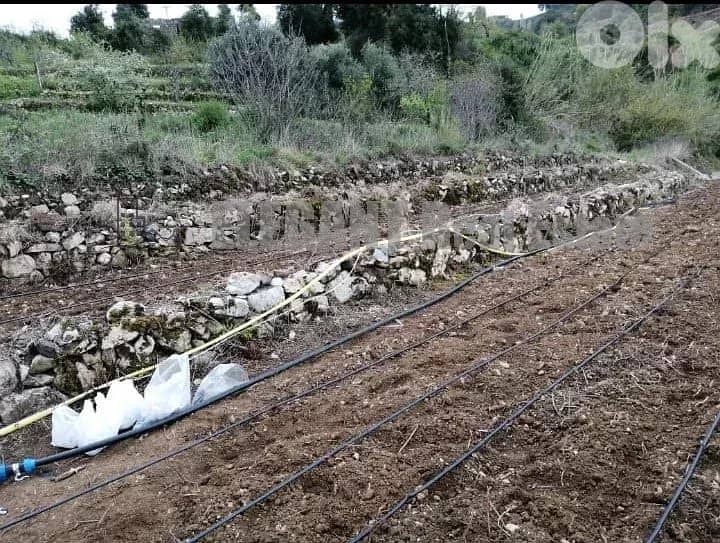 Agricultural Land for sale Naher el Dahab 3