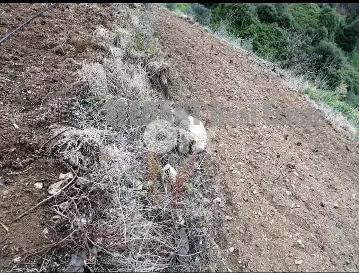 Agricultural Land for sale Naher el Dahab 4