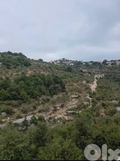 Land for sale in Assia Batroun ارض للبيع في اسيا البترون