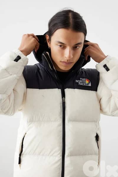 the north face retro nuptse pride jacket