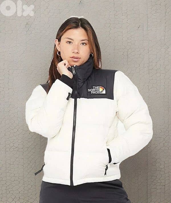the north face retro nuptse pride jacket 1