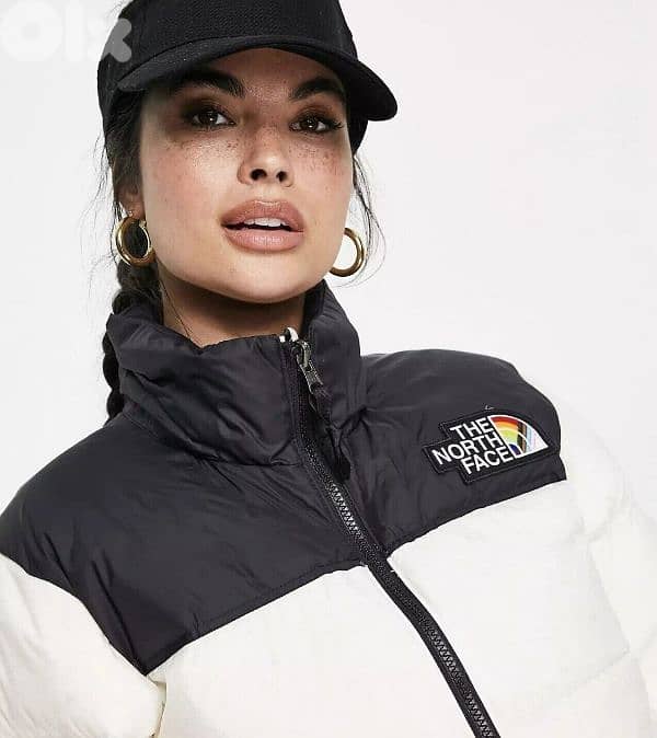 the north face retro nuptse pride jacket 4