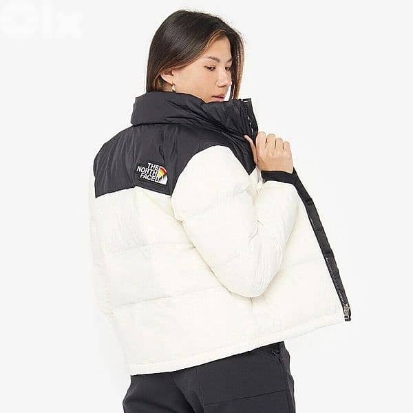the north face retro nuptse pride jacket 5