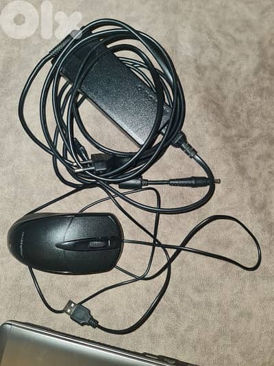 الشمال سير الضنية