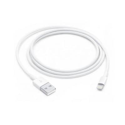 Apple Lightning to USB Cable (1 m)