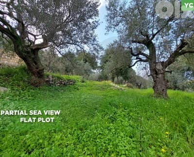 LAND/ Smar Jbeil/ سمار جبيل/Zoning: 20/40/REF#YC134013 !