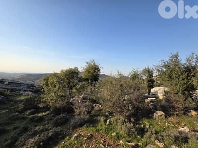 RWB186CC - Land for sale in Rechdebbine Koura