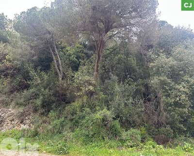 Prime land for sale , Jeita /جعيتا REF#CJ134036